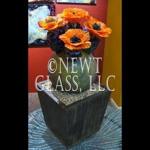 Cactus with orange flowers
 