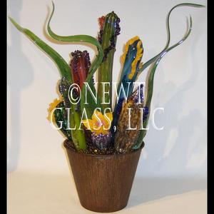 Metal Pot with Cactus
 