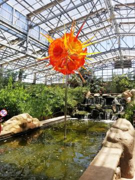 Butterfly Wonderland Orange Flower