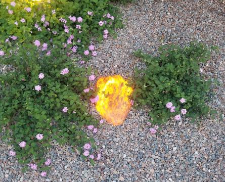 Iluminated Yard Lights