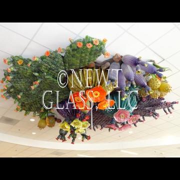 CACTUS GARDEN