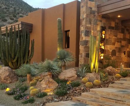 Jen Home in Arizona